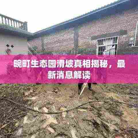 畹町生态园滑坡真相揭秘，最新消息解读