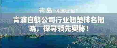 青浦白鹤公司行业翘楚排名揭晓，探寻领先奥秘！