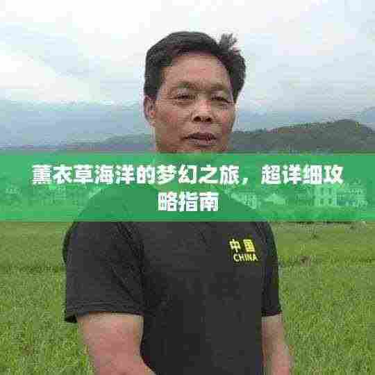 薰衣草海洋的梦幻之旅，超详细攻略指南